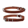 Ошейник для животных Collar одинарный Ш 14 мм Д 27-35 см коричневый (00036) - Image 1
