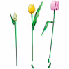 Конструктор LEGO Botanicals Букет тюльпанов (11501) - Image 4