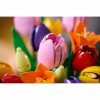 Конструктор LEGO Botanicals Букет тюльпанов (11501) - Image 7