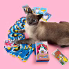 Карти Таро Orner Таро Котяче таро (2327) - Image 12
