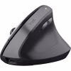 Мишка Trust Bayo 2 Ergonomic Wireless/USB-A Black (25145) - Image 1