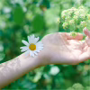 Гигиенические прокладки Naturella Ultra Normal 10 шт (4015400125037) - Image 6