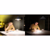 Лампочка Osram LED E27 8Вт 806Лм 2700К A60 акумуляторна (4099854190087) - Image 8