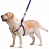Шлея для собак WAUDOG Nylon з QR-паспортом "NASA21" M (4801-0148) - Image 2