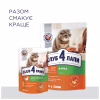 Сухой корм для кошек Club 4 Paws Премиум. Со вкусом курицы 300 г (4820083909795) - Image 8