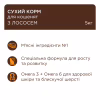 Сухий корм для кішок Club 4 Paws Premium для кошенят з лососем 5 кг (4820215369480) - Image 2