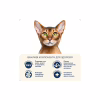 Сухий корм для кішок Home Food Grain-free hypoallergenic Suitable for exotic breeds з качкою та грушею 1.6 кг (4820235020231) - Image 4