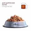 Сухой корм для кошек Club 4 Paws Премиум для стерилизованных с индейкой 900 г (4820269144910) - Image 2