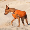 Жилет для животных Pet Fashion "E.Vest" М оранжевый (4823082424313) - Image 3