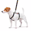 Шлей для собак WAUDOG Nylon с QR паспортом анатомическая H-образная "NASA" M (5542) - Image 3