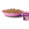 Влажный корм для кошек Whiskas Kitten Курица в желе 85 г (5900951302152) - Image 3