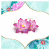 Ежедневные прокладки Discreet Deo Water Lily 60 шт. (8001090170354/8700216152983) - Image 5