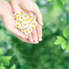 Гигиенические прокладки Naturella Ultra Normal 20 шт (8001090585592) - Image 7