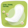 Ежедневные прокладки Naturella Calendula Tenderness Light 52 шт. (8001090603845) - Image 3