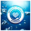 Шампунь Head & Shoulders Detox Глибоке очищення 300 мл (8001841996769) - Image 4
