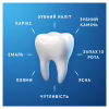 Зубна паста Oral-B Pro-Expert Професійний захист 75 мл (8006530090674) - Image 6