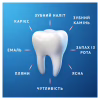 Зубна паста Oral-B Pro-Expert Заспокійливе відчуття 75 мл (8006530090773) - Image 6
