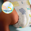 Подгузники Pampers Premium Care Розмір 5 (11-16 кг) 132 шт (8006530223478) - Image 8