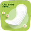Щоденні прокладки Naturella Camomile Normal 74 шт. (8006540100806) - Image 3
