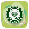 Гигиенические прокладки Naturella Ultra Maxi (Размер 3) 32 шт. (8006540399569) - Image 9