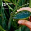 Шампунь Herbal Essences Увлажнение Алоэ 350 мл (8700216211048) - Image 2