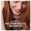 Шампунь Head & Shoulders 2 в 1 Против перхоти Основной уход 400 мл (8700216304917) - Image 3