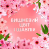 Кондиционер для белья Lenor Вишневый цвет и шалфей 675 мл (8700216723657) - Image 6