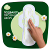 Гигиенические прокладки Naturella Classic Night 28 шт. (8700216819305) - Image 4