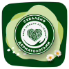 Гигиенические прокладки Naturella Classic Night 28 шт. (8700216819305) - Image 8