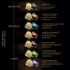 Кофе L'OR Espresso Splendente 100% Арабика в капсулах 10 шт (8711000357910) - Image 5