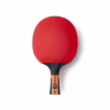Ракетка для настольного тенниса Butterfly Timo Boll Comfort FL (6110170005) (931845) - Image 1