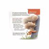Книга Віршенята-скоромовки - Юлія Пеліхова 4mamas (9786170044327) - Image 8
