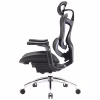 Офисное кресло Sihoo DORO C300 Pro Mesh Black (DORO-C300-PRO-M101) - Image 3