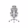 Офисное кресло Sihoo DORO C300 Pro Mesh White (DORO-C300-PRO-M102) - Image 2