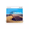 Струни для гітари D'Addario Phosphor Bronze Regular Light (12-53) (EJ16) - Image 1