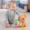 Развивающая игрушка Fisher-Price Капибара (HYR54) - Image 9