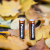 Батарейка Panasonic LR06 Alkaline Power * 10 (LR6REB/10BW) - Image 2