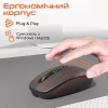Мишка Meetion BTM100R Wireless/Bluetooth Black (MT-BTM100R-A) - Image 6