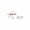 Патч-корд 0.5м S/FTP Cat 6A CU LSZH grey Cablexpert (PP6A-LSZHCU-0.5M) - Image 4
