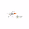 Патч-корд 3м S/FTP Cat 6A CU LSZH black Cablexpert (PP6A-LSZHCU-BK-3M) - Image 3