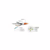 Патч-корд 3м S/FTP Cat 6A CU LSZH yellow Cablexpert (PP6A-LSZHCU-Y-3M) - Image 3