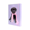 Папка для тетрадей Kite В5 на резинке Studio Pets, картон (SP23-210) - Image 1