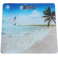 Ваги підлогові розумні 17BT, 180 кг (50 г), температура - 2