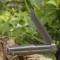 Нож складной S35VN A1096 TANTO - 5