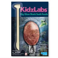 Набір для експериментів 4М Розкопки акули (00-05918) - 1