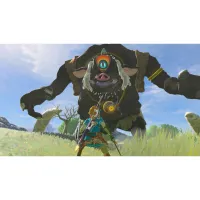Гра Nintendo Legend of Zelda Breath of the Wild, картридж (Switch 2) (0045496312664) - 7