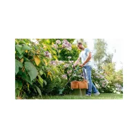 Тример садовий Bosch EasyGrassCut 26 (0.600.8C1.J01) - 6