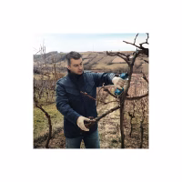 Секатор Bosch Pro Pruner, 12V, 2х3Ah (0.601.9K1.021) - Image 5