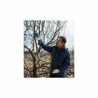 Секатор Bosch Pro Pruner, 12V, 2х3Ah (0.601.9K1.021) - Image 7