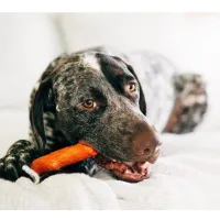 Игрушка для собак Petstages Mesquite Dogwood Ветка (с ароматом барбекю) 13.5 см (0700603301435) - Изображение 3